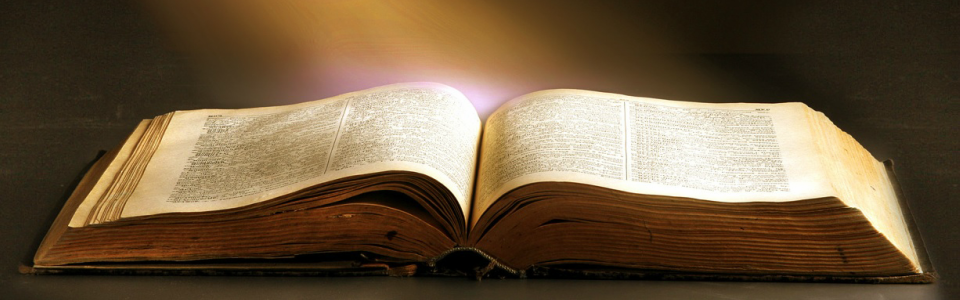 La Bibbia TOB - Nuovo Testamento - Elledici